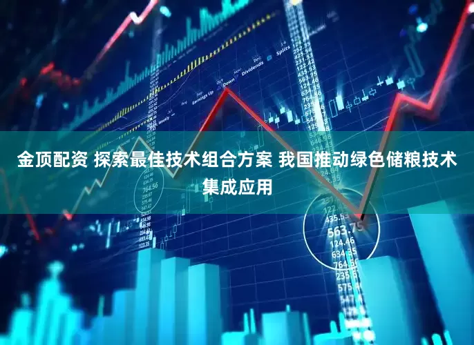 金顶配资 探索最佳技术组合方案 我国推动绿色储粮技术集成应用