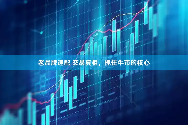 老品牌速配 交易真相，抓住牛市的核心