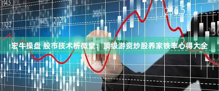 宏牛操盘 股市技术析微堂：顶级游资炒股养家铁率心得大全