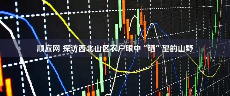 顺应网 探访西北山区农户眼中“硒”望的山野