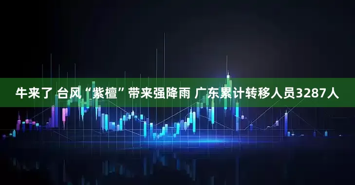 牛来了 台风“紫檀”带来强降雨 广东累计转移人员3287人